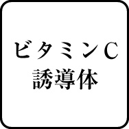 ビタミンＣ誘導体