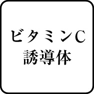 ビタミンＣ誘導体